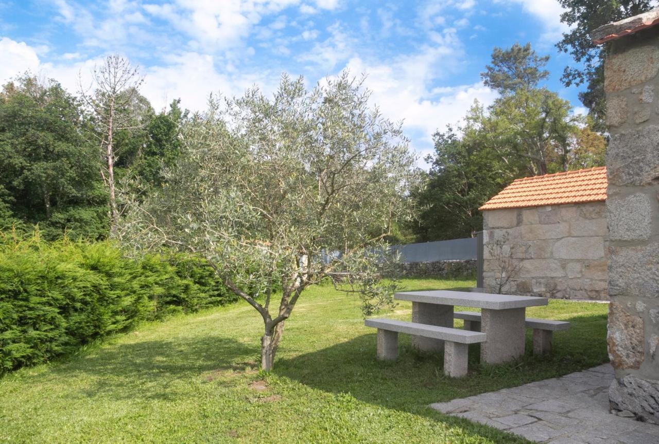 Casas D'Oliva Διαμέρισμα Caramulo Εξωτερικό φωτογραφία